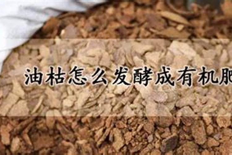 池塘肥水用什么肥好