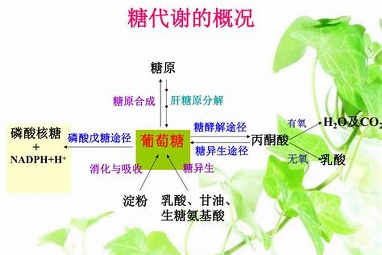大豆面怎么处理可以浇花