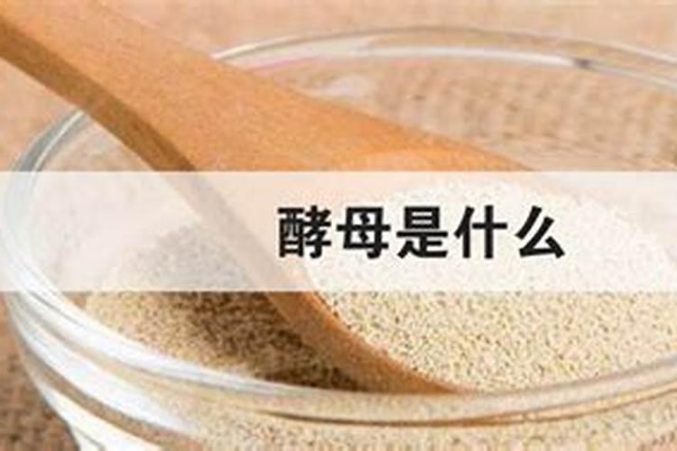 春天正在施肥不要买氮磷钾肥你可以自己在家做!