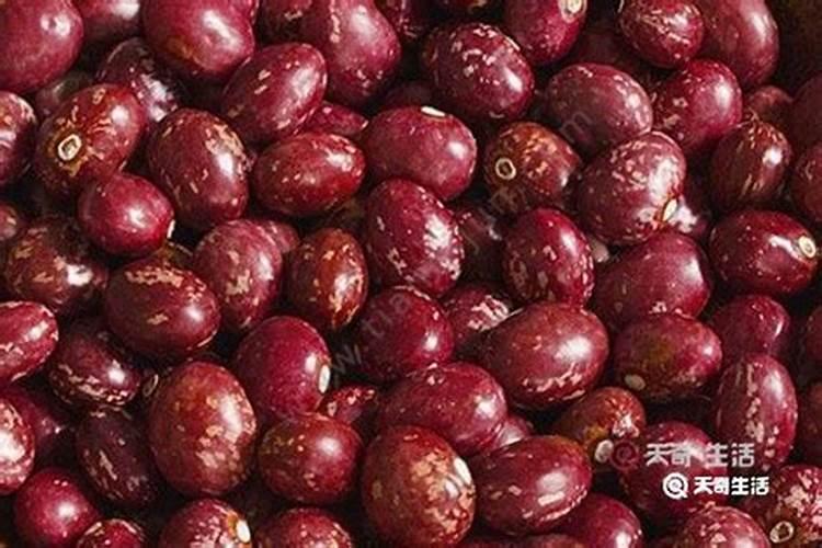 金丝豆的功效与作用 金丝豆有何功效与作用