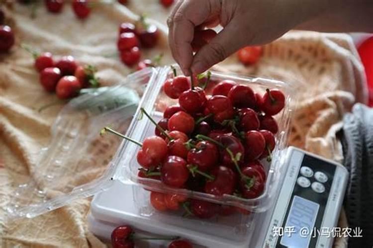 钙肥和锌肥和铁肥混合后喷施西红柿有副作用吗？