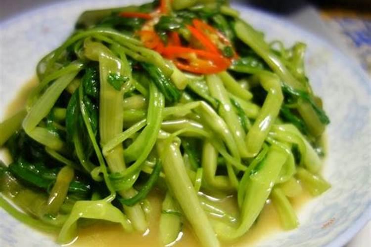 空心菜怎样种植