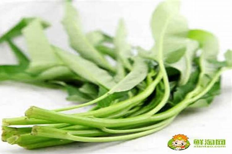 空心菜的种植时间和温度是多少？
