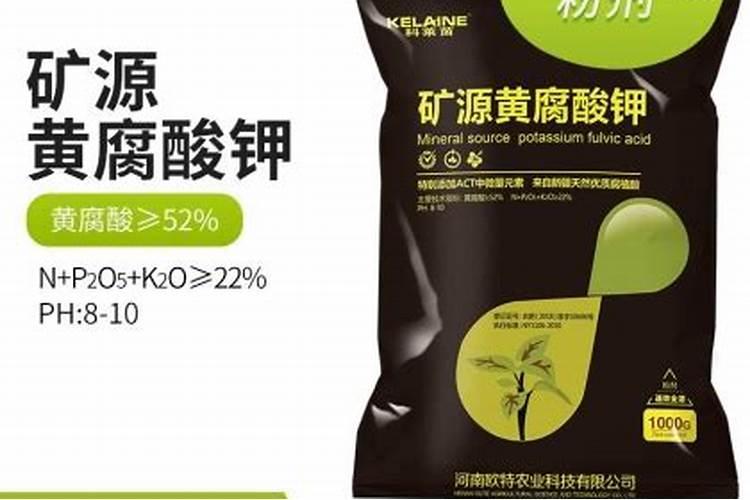 兰花施什么肥好