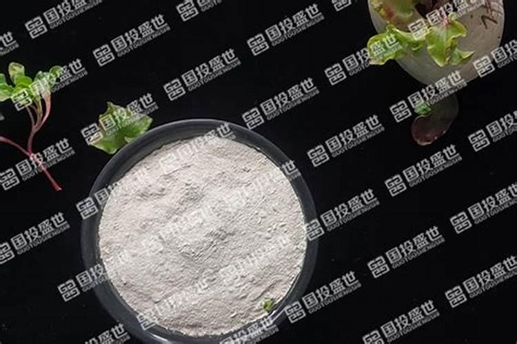 新移植的月季什么时候开始施肥