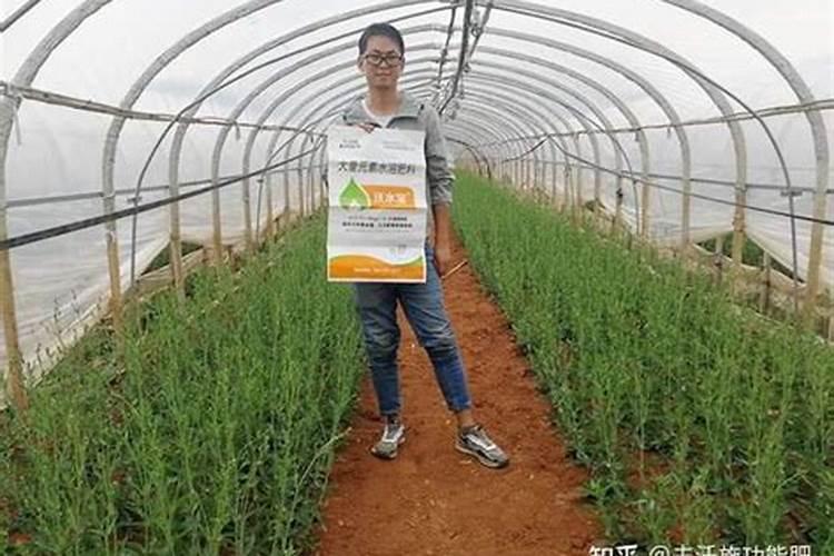 叶面肥使用过多,都会给作物带来哪些危害？