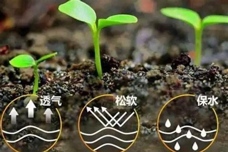 土地盐碱化可用熟石灰改良它吗