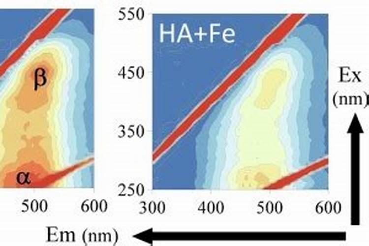 腐殖酸是什么？有什么作用？