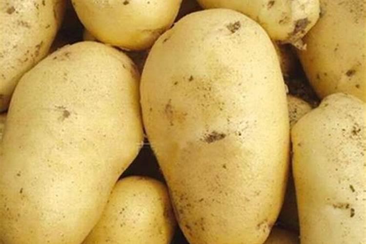 种土豆每亩用多少肥料最好