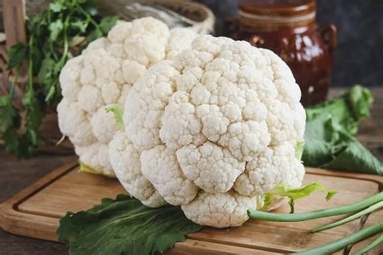 樱桃用什么肥料最好