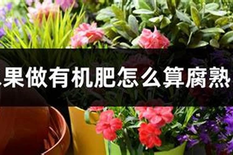 烂水果做有机肥怎么算腐熟