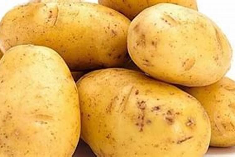 土豆施钾肥增产的效果 养殖技巧总结