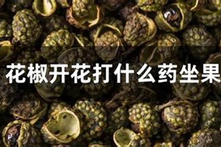 辣椒用什么叶面肥更高产