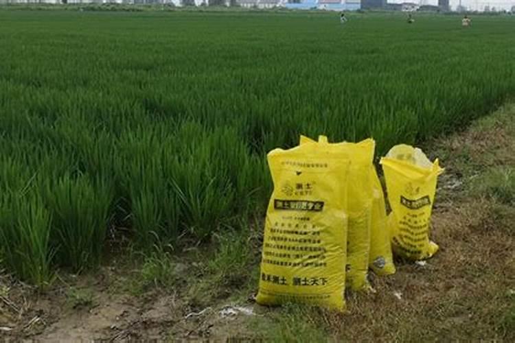 国际市场望中国恢复磷肥出口