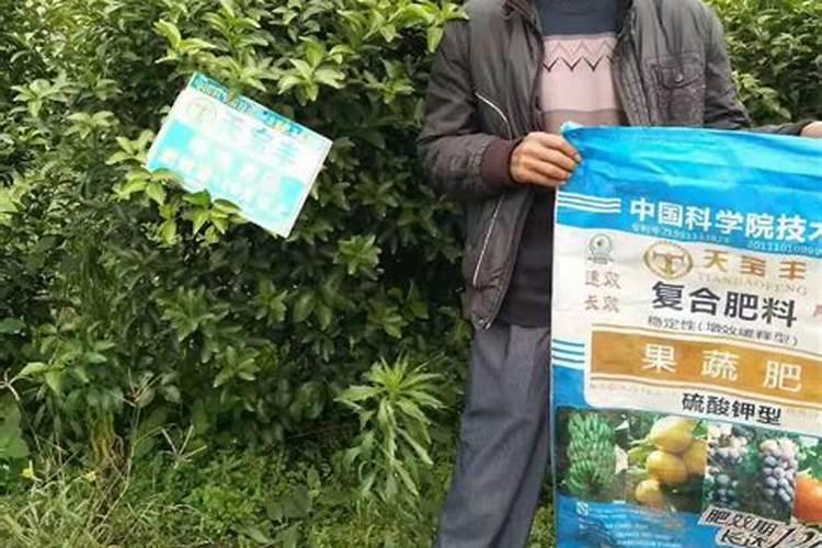 现在尿素的出厂价格是多少啊!小粒度的