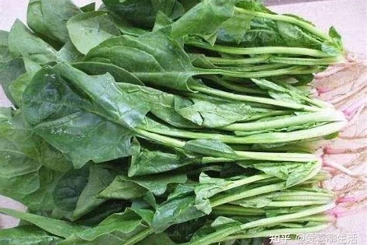 怎么给植物补钾效果好？