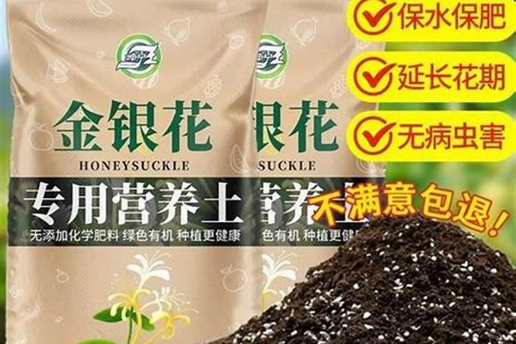 小黄瓜都有哪些吃法