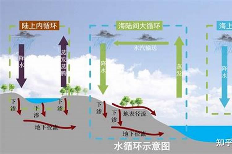 核桃壳可以做花肥料吗 核桃壳能做花肥料吗