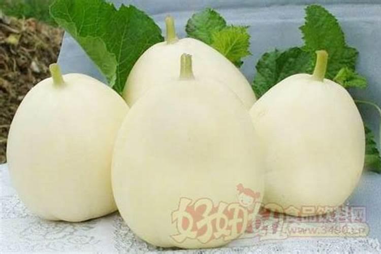 高钾肥有哪些？甜瓜在盛果期冲施高钾肥好不好？