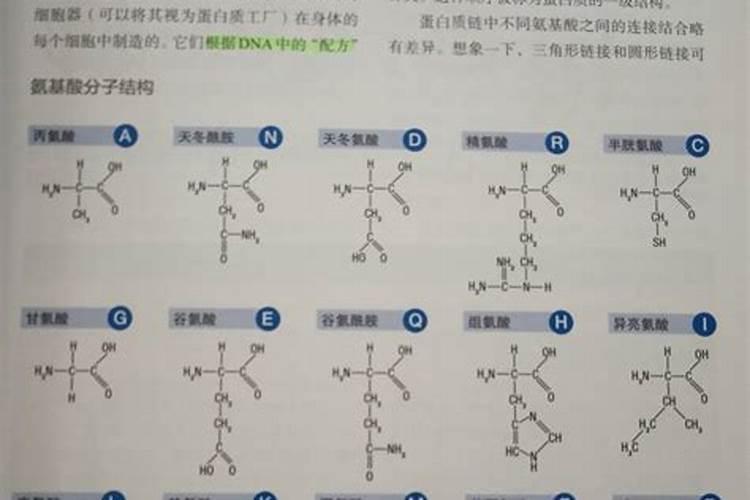 车厘子树新叶枯萎了