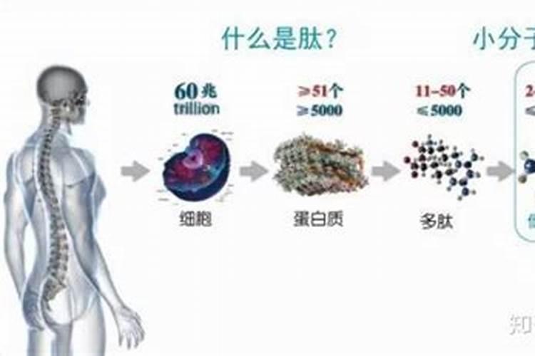 柑橘树枯枝怎么办