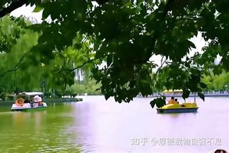 水草挂脏怎么处理