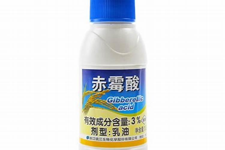 甘蔗什么时候打920