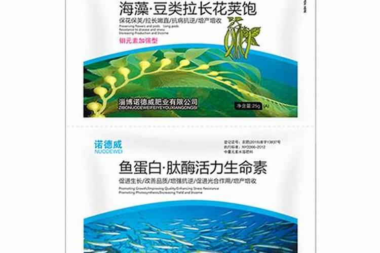 葫芦籽怎么育苗(葫芦籽怎么种葫芦)