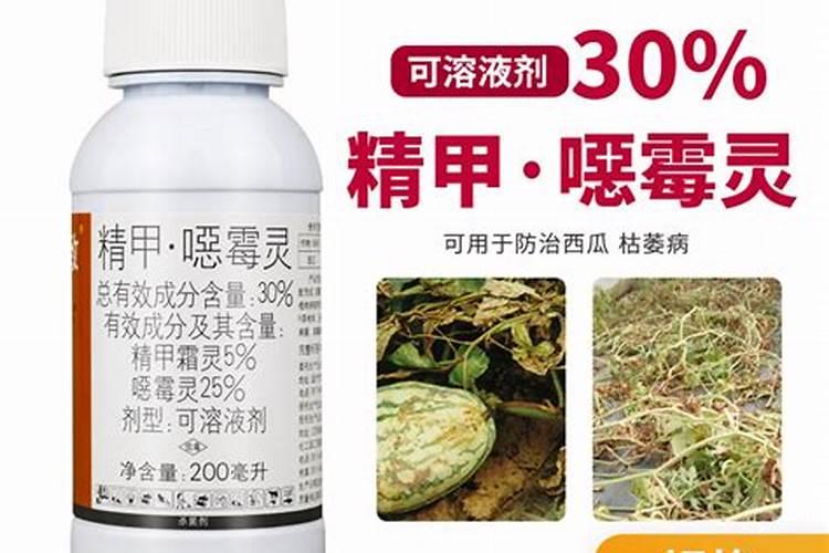 豆角叶片发黄的原因及防治方法