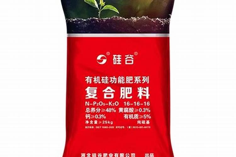 柑橘树小苗施什么肥好 如何施肥效果好