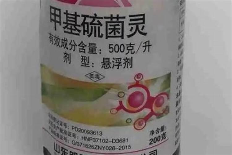 小麦茎腐病用什么药治疗最好