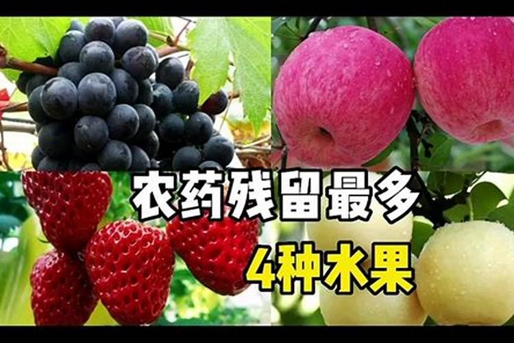 怎样解除果树农药药害