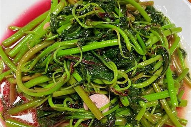 什么食物草酸含量高