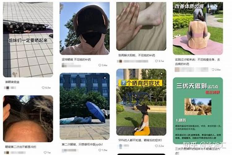 第一年新种的葡萄苗该施什么肥料