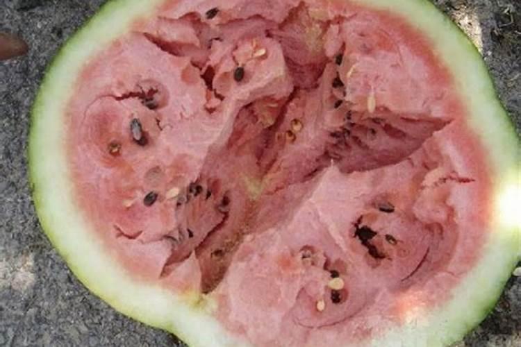 海藻面膜十大品牌你了解多少