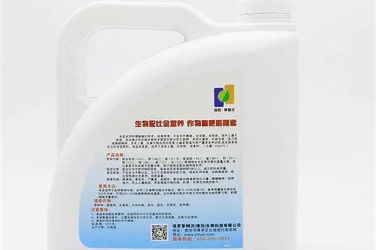 杏鲍菇催菇及出菇管理的技术要点是什么？