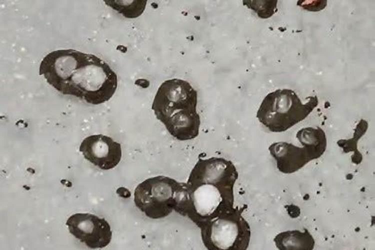 家庭种花怎样做氮肥,磷肥,钾肥它们各有什么作用？