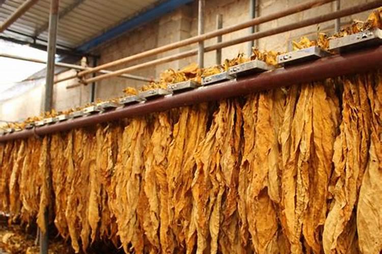 硒肥的正确使用方法