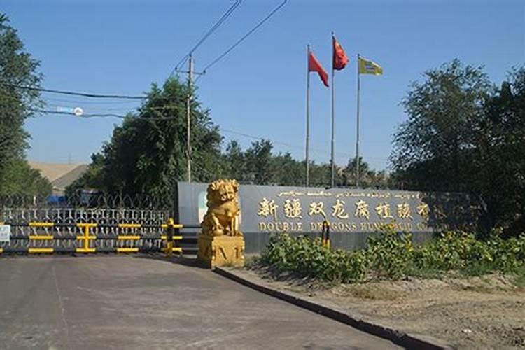 腐植酸水溶肥是什么肥料 腐植酸水溶肥料的作用有哪些