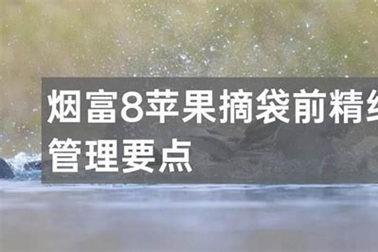 面粉蛋白质中的麦胶蛋白和什么能形成面筋质？