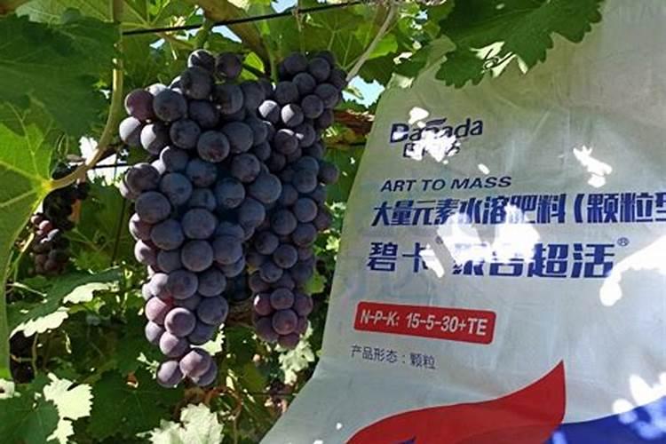 香蕉居然也有辐射