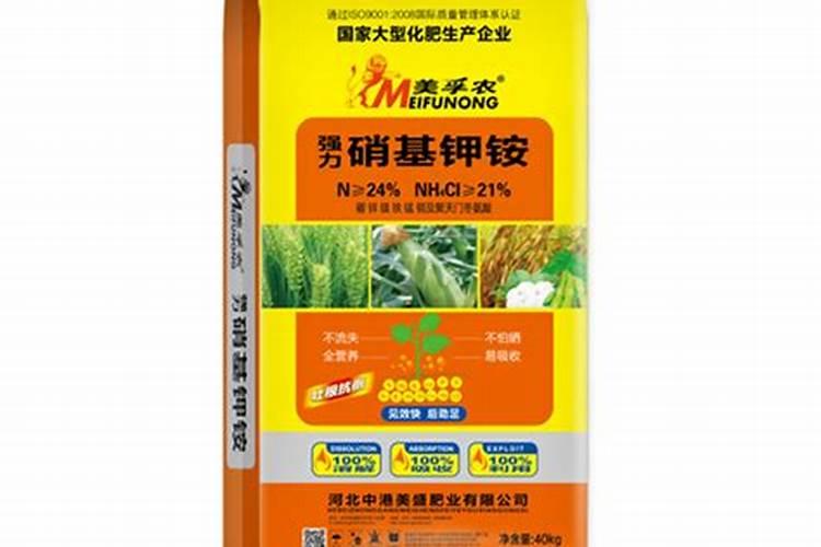 如何让三角梅快速生根
