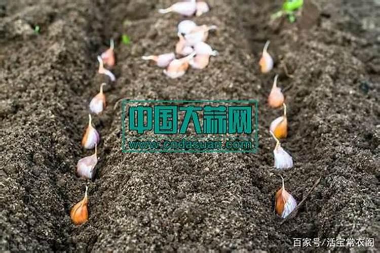 助燃剂有哪些助燃剂的作用是什么