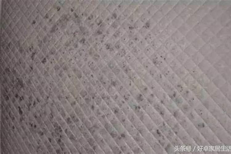 施尿素是施地面好还是埋泥土里好？