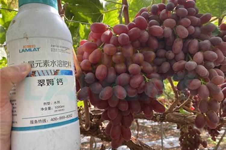 草坪复复合肥可以用吗