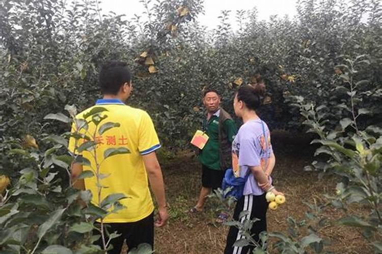 碳酶海藻鱼蛋白什么时候使用最好