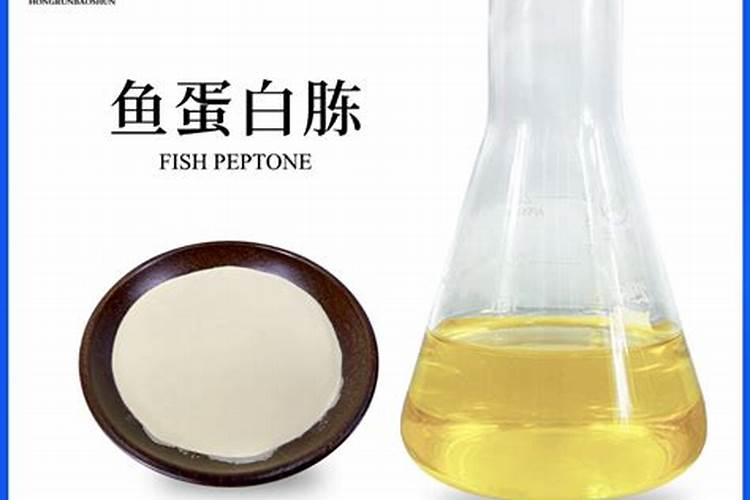 我的发财树不死也不发芽怎么回事
