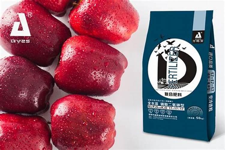 河南偃师特产:翟镇土豆