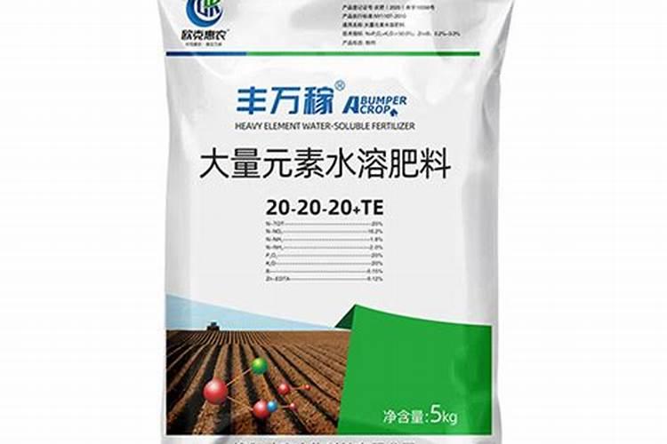 金丝楠木施什么肥最好