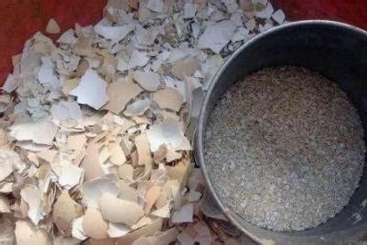 水溶肥硅肥用多少克？